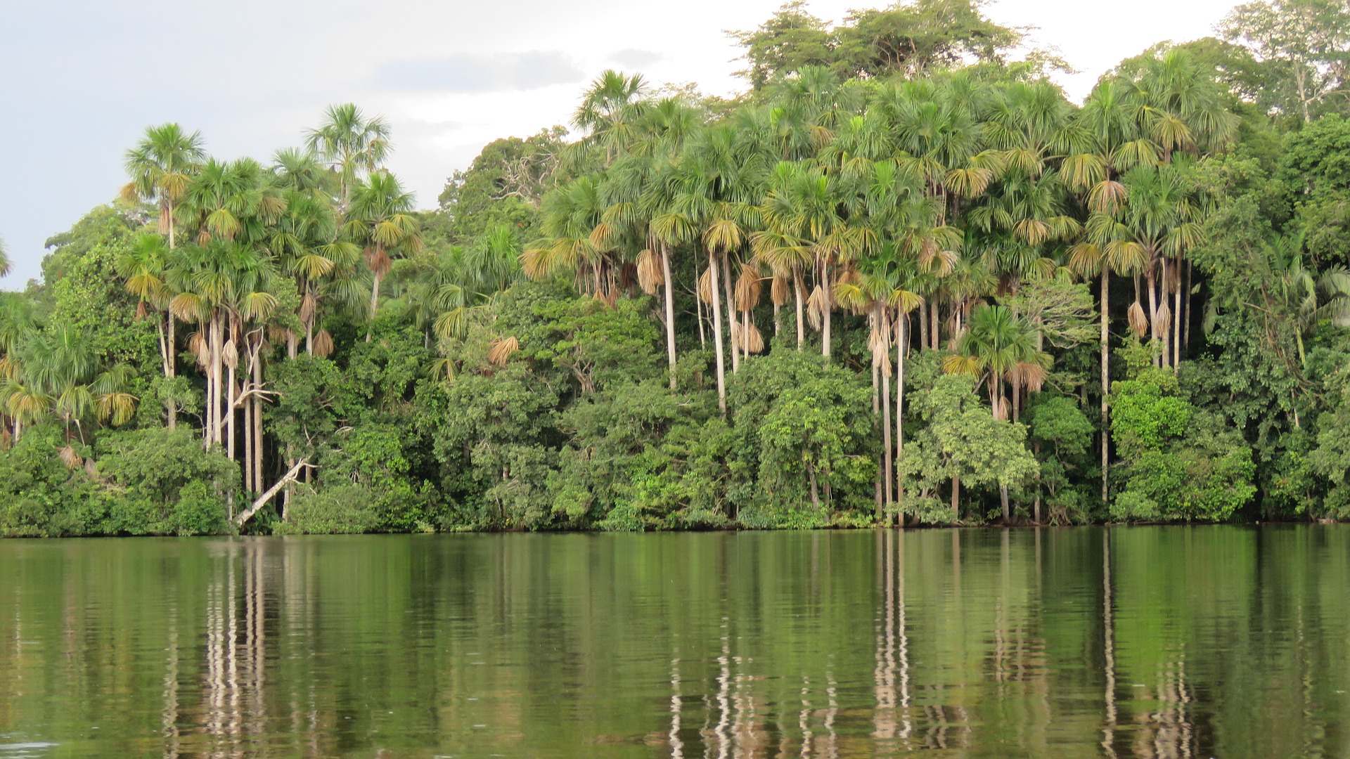 How to get from Iquitos Airport to the city centre
