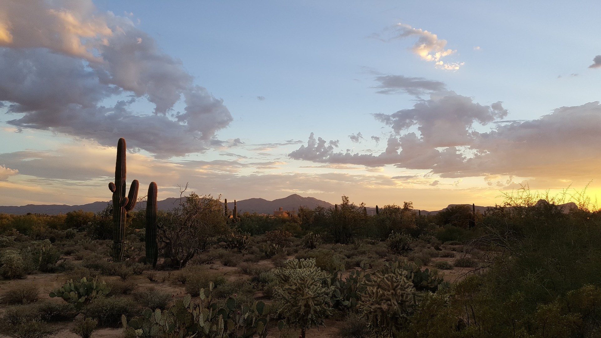 Cómo ir del Aeropuerto de Tucson International al centro