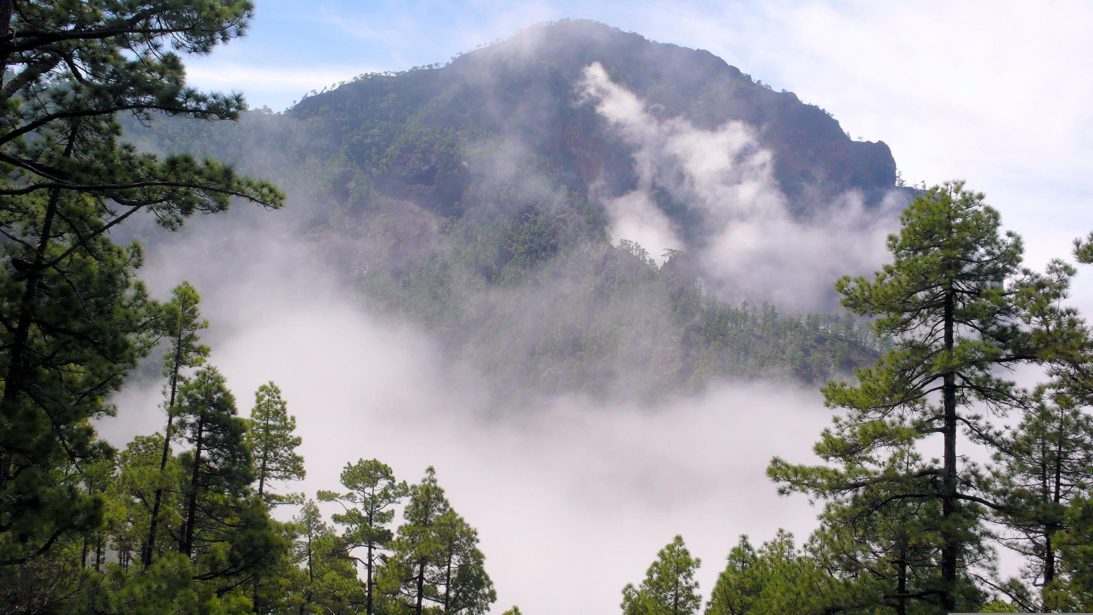 Descubre qué ver y hacer en La Palma