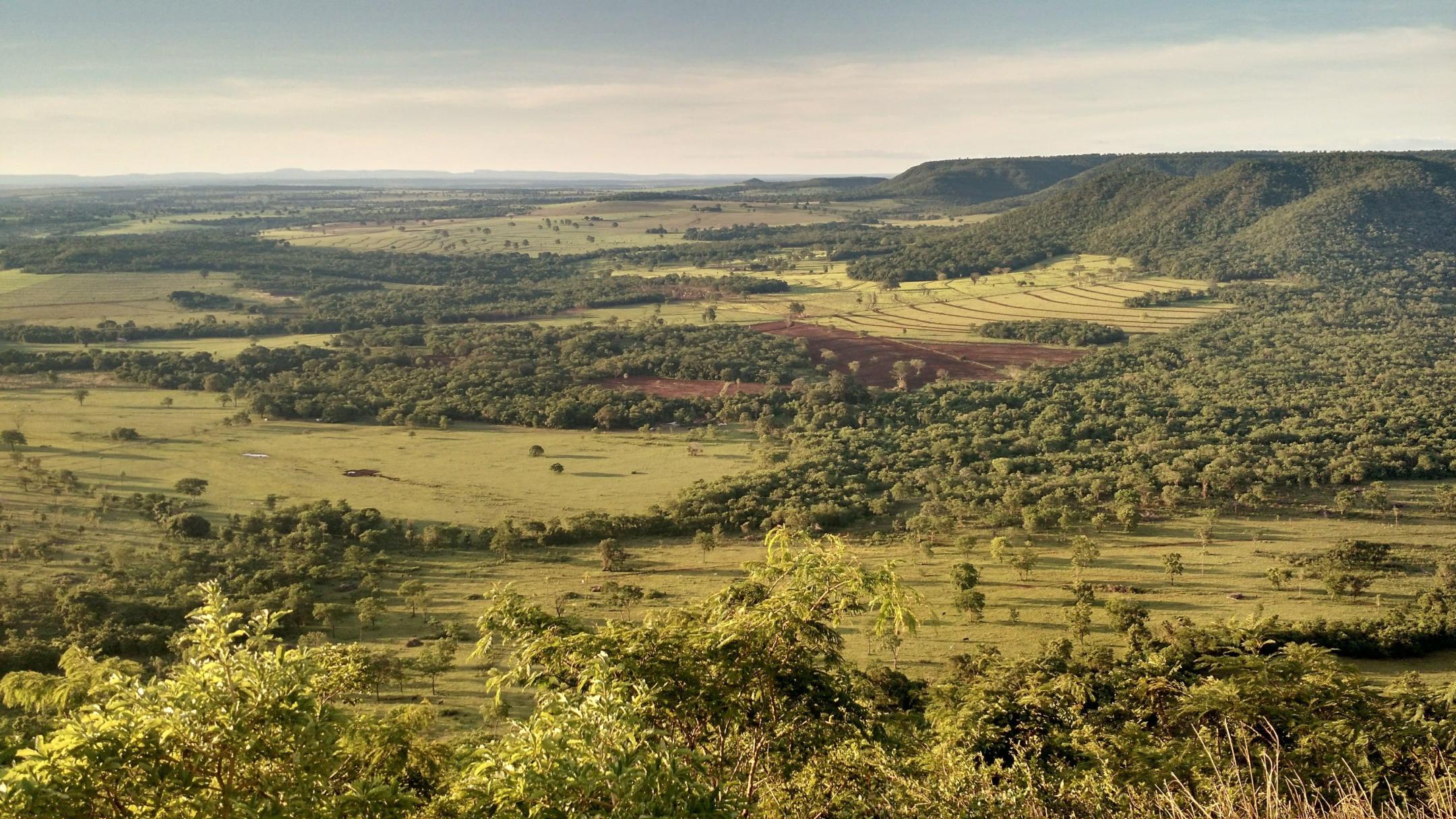 Vols pas chers vers Campo Grande